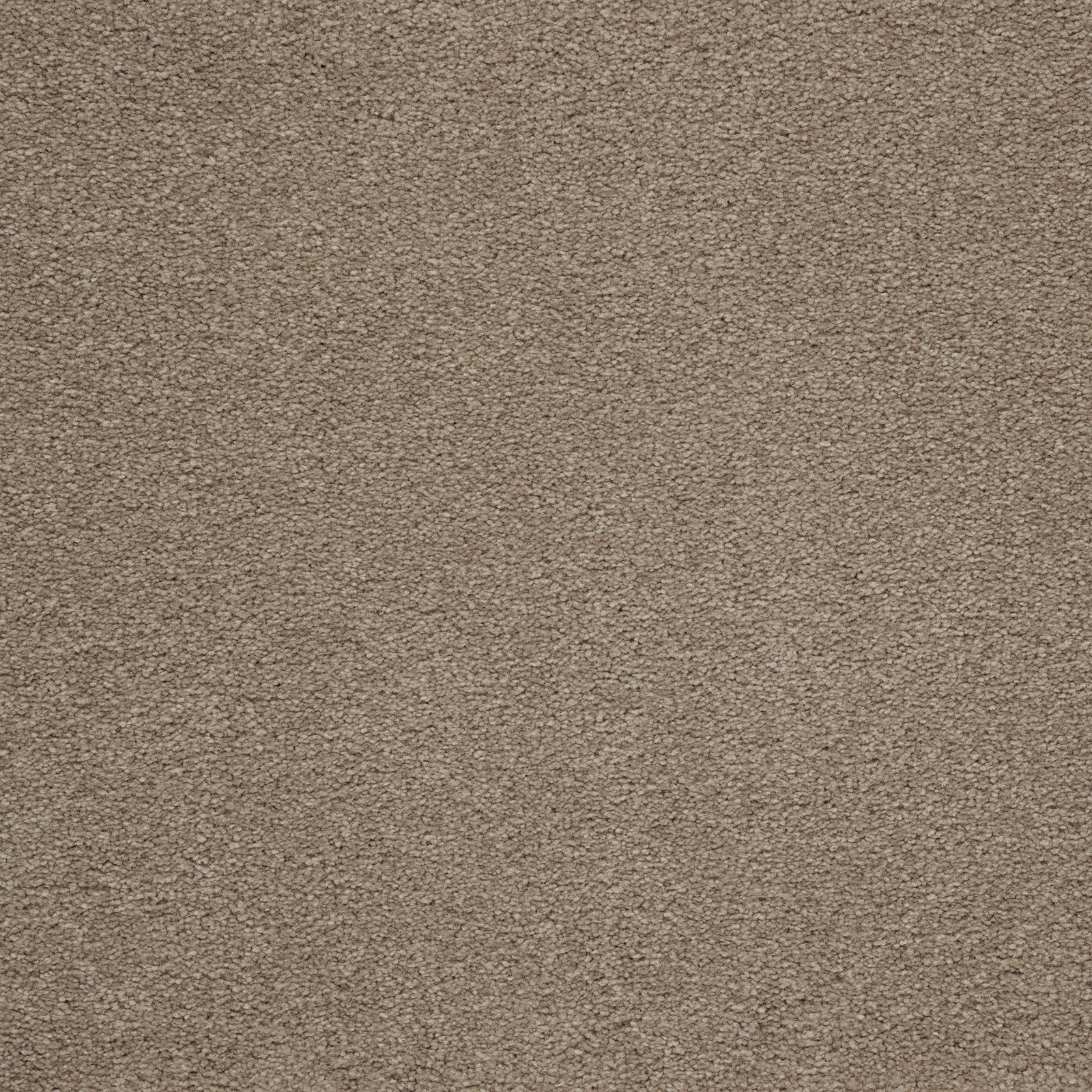 Mohawk Memorable View in Mushroom Cap, Carpet product detail