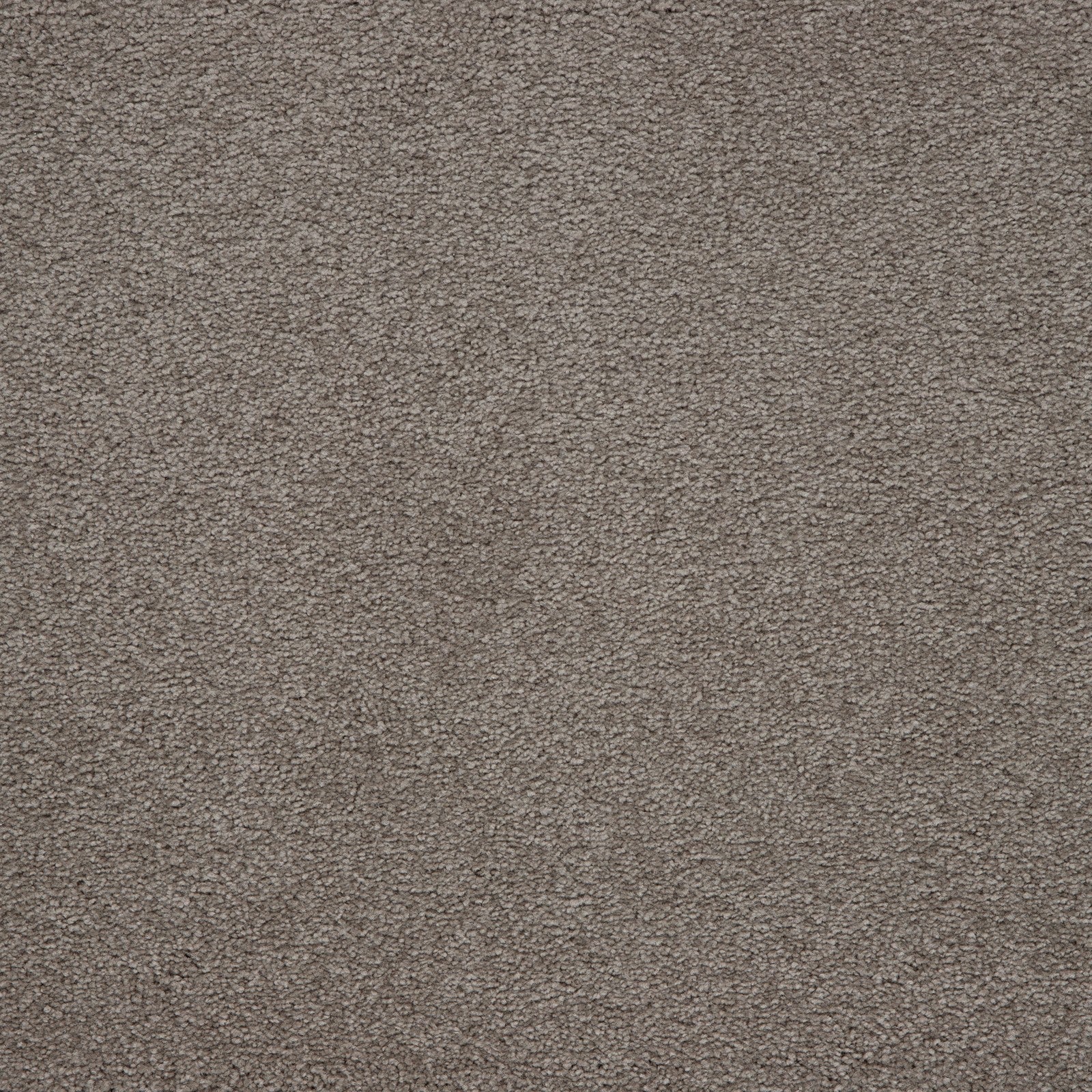 Mohawk Memorable View in Heathery Tint, Carpet product detail