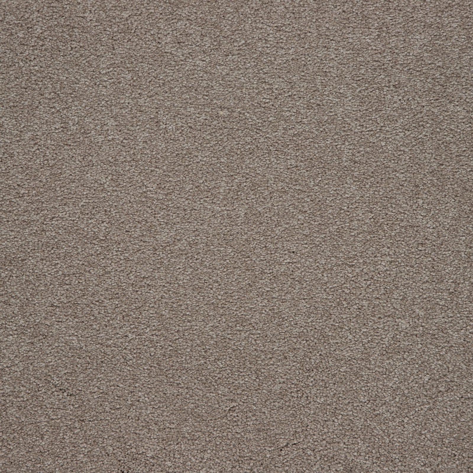 Mohawk Memorable View in Walnut Frost, Carpet product detail