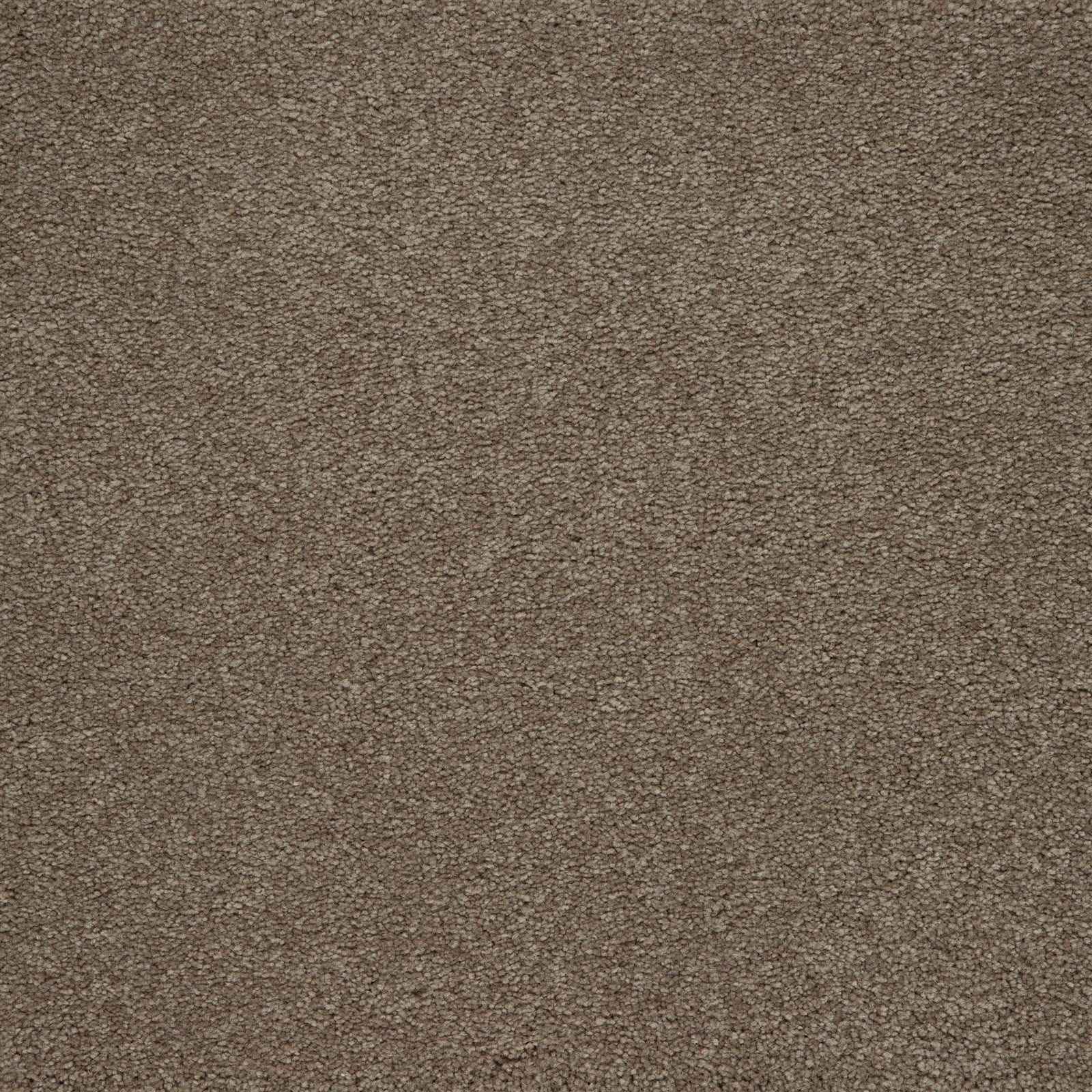 Mohawk Memorable View in Montego, Carpet product detail