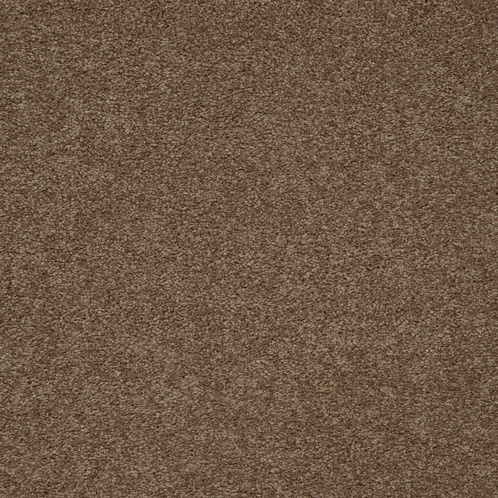 Mohawk Memorable View in Nouveau, Carpet product detail