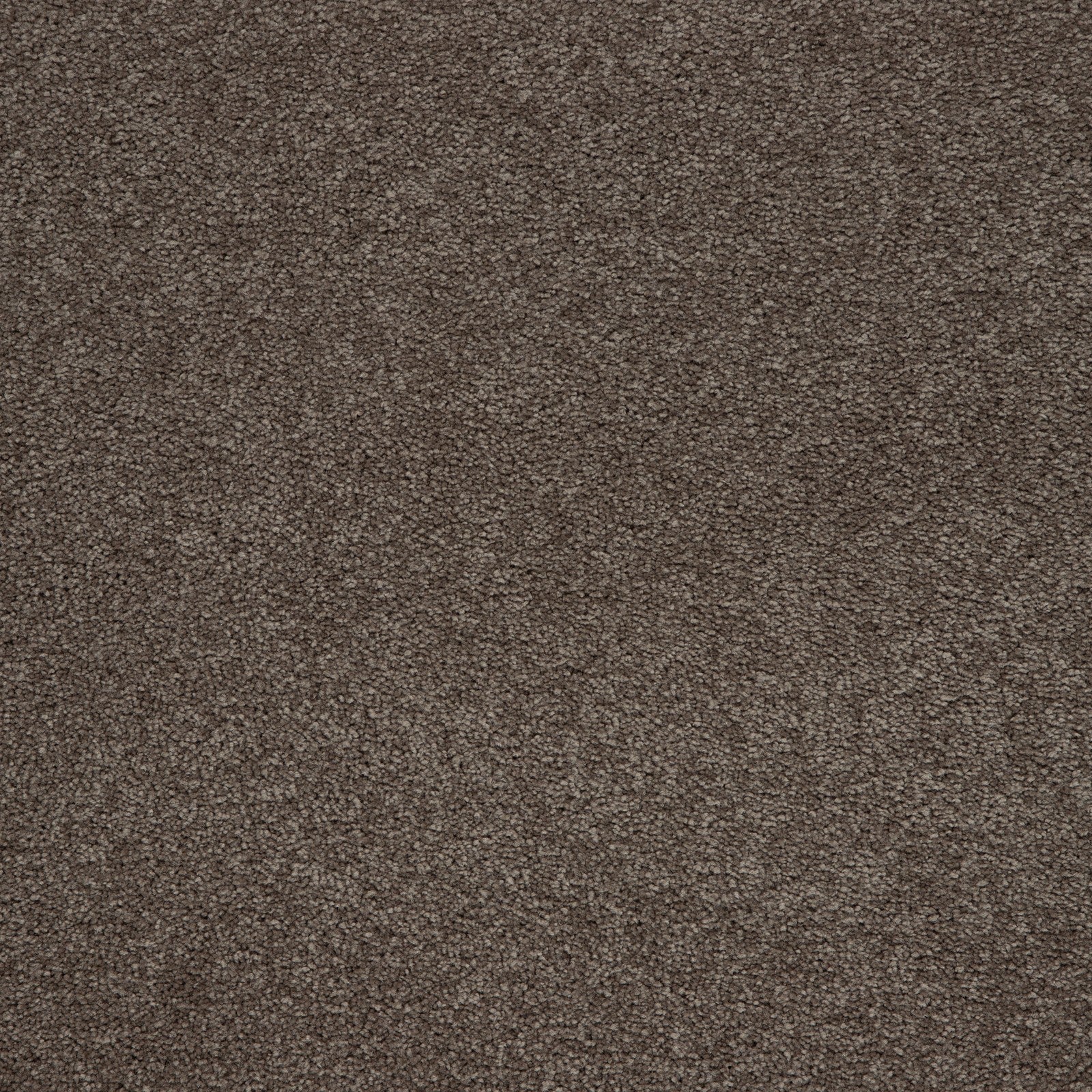 Mohawk Memorable View in Tudor, Carpet product detail