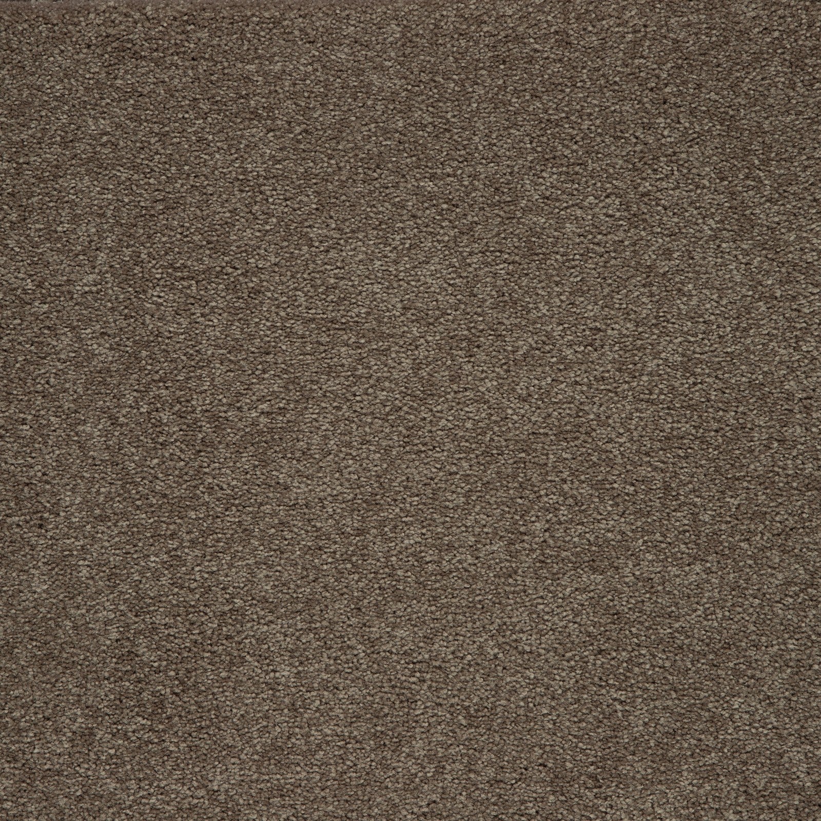 Mohawk Memorable View in Timberlane, Carpet product detail