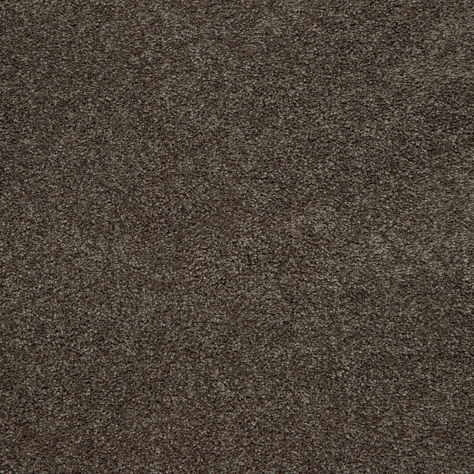 Mohawk Memorable View in Weathered Plank, Carpet product detail