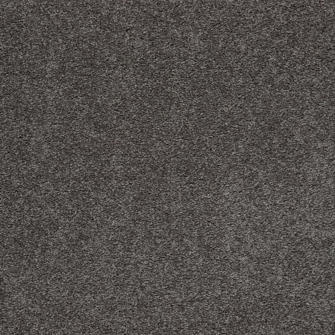 Mohawk Memorable View Carpet