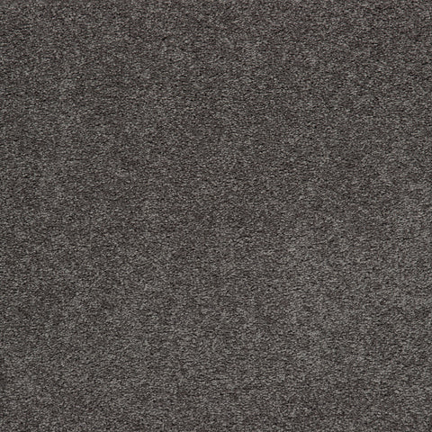 Mohawk Memorable View Carpet