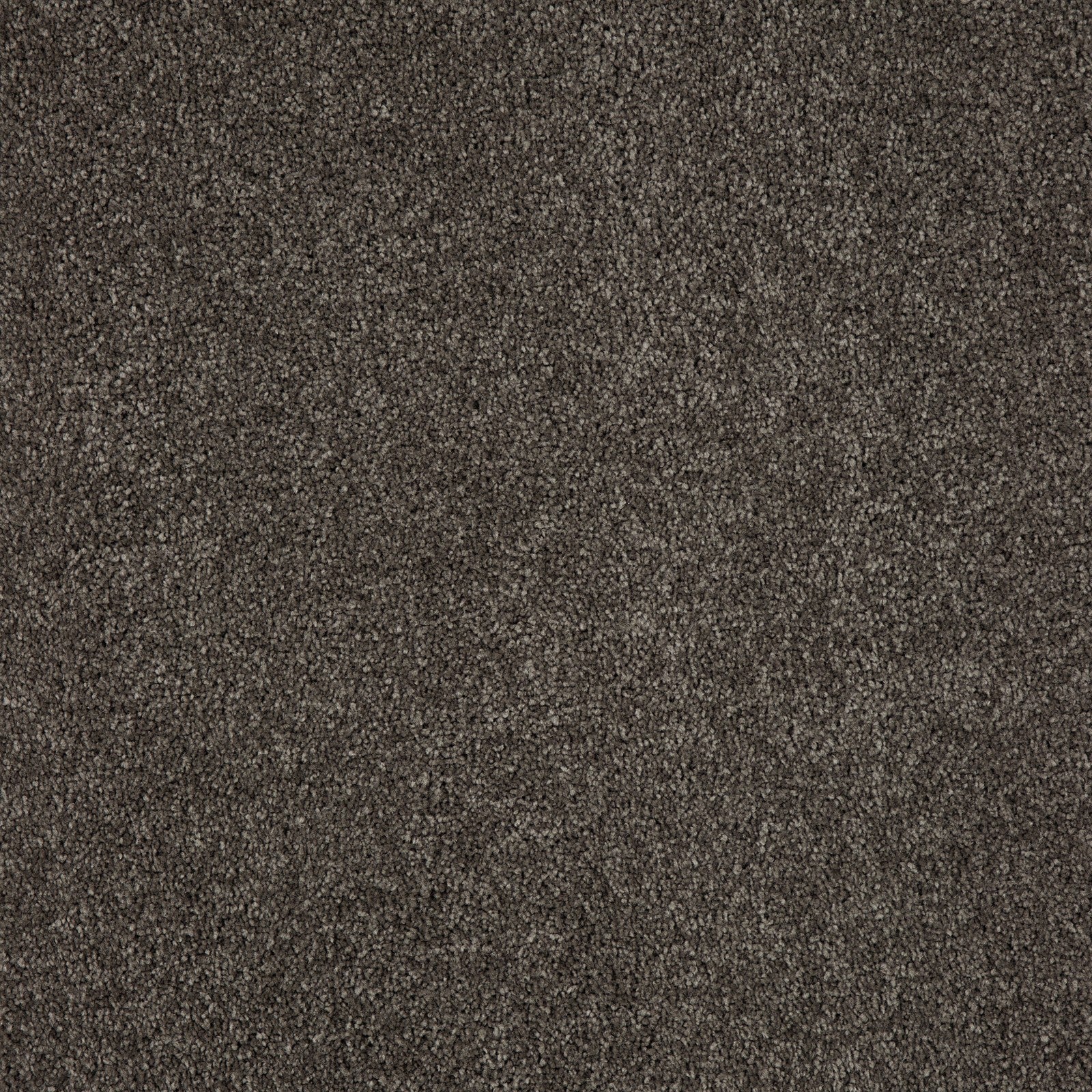 Mohawk Memorable View in Manor House, Carpet product detail