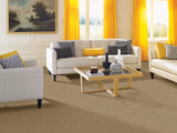 Mohawk Peaceful Elegance Carpet