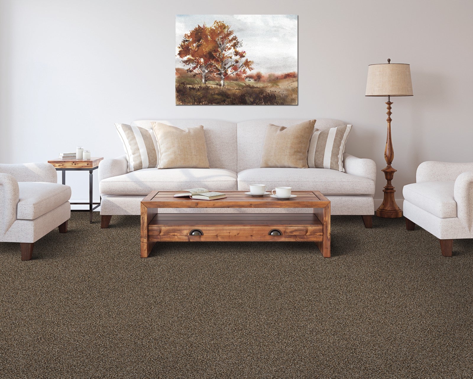 Mohawk Color Fusion I in Rolling Thunder, Carpet room scene
