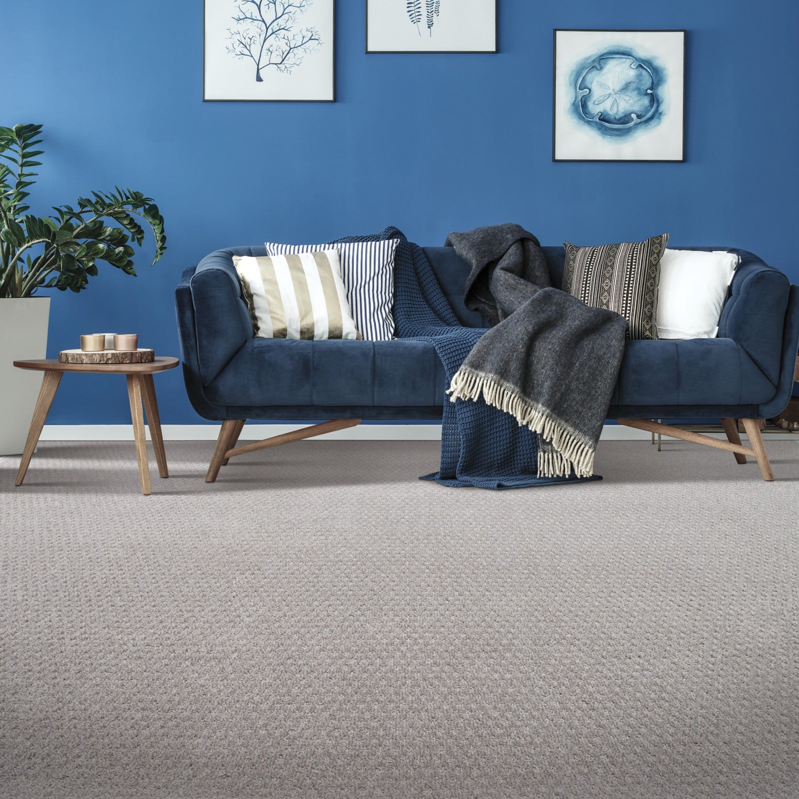 Mohawk Stylish Effect in Sand Dollar, Carpet room scene
