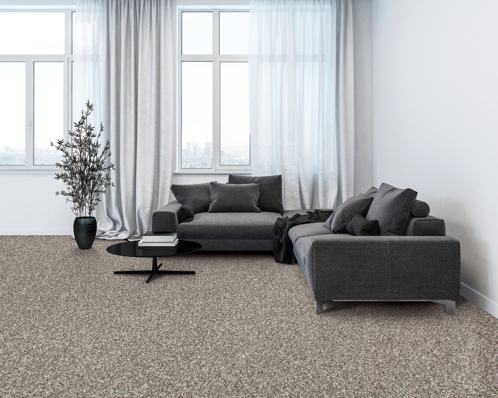 Mohawk Natural Opulence I in Mission, Carpet room scene