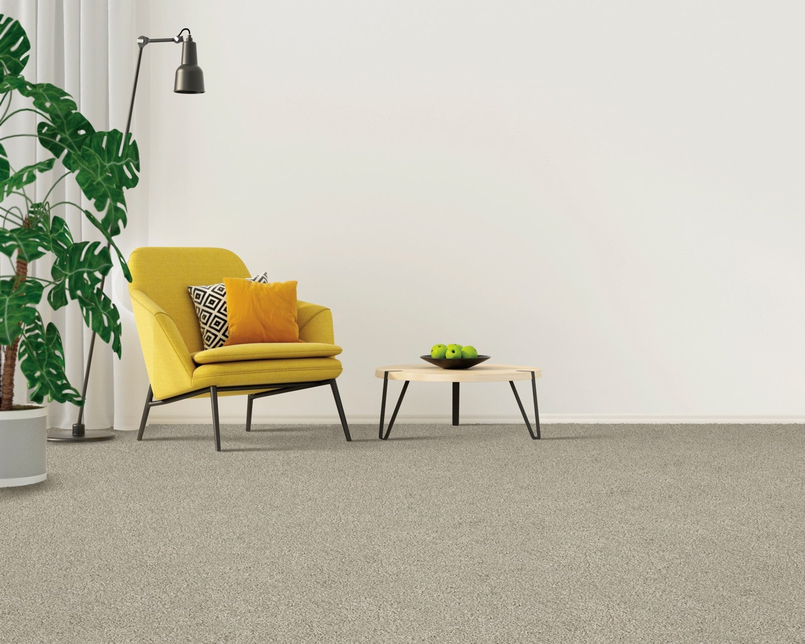 Mohawk Gentle Path in Malibu Beach, Carpet room scene