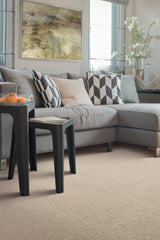 Mohawk Timeless Journey II Carpet