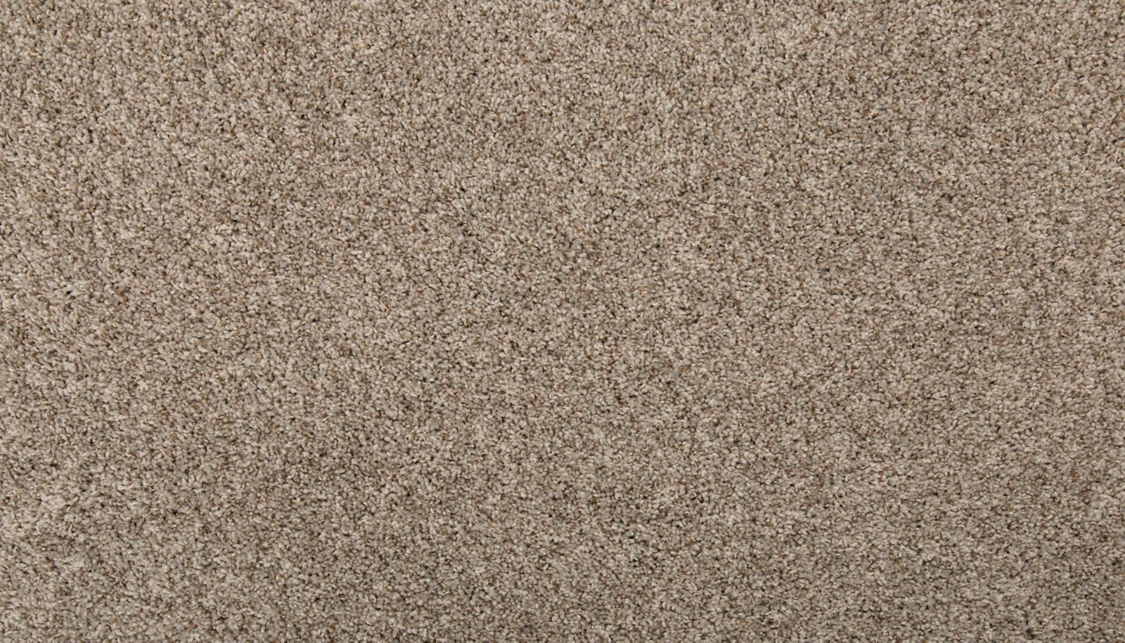 Mohawk Renovate II in Havana, Carpet product detail