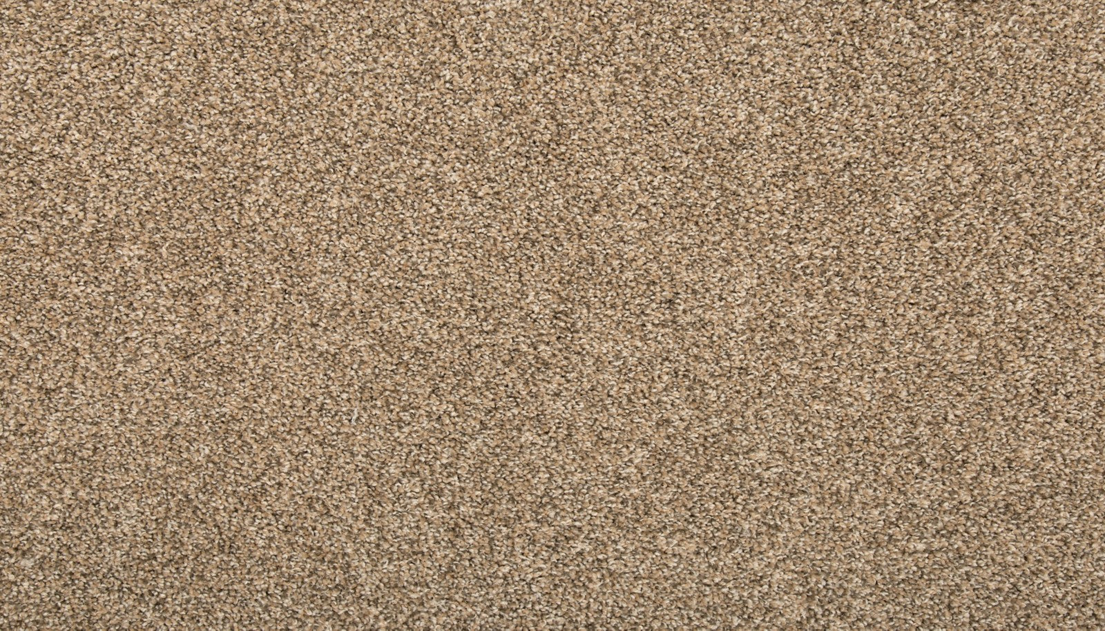 Mohawk Vitalize I in Flax Seed, Carpet product detail