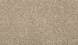 Mohawk Vitalize I Carpet