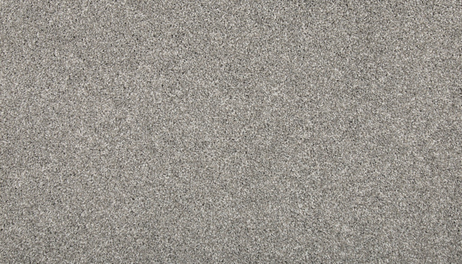 Mohawk Renovate II in Tarpley, Carpet product detail