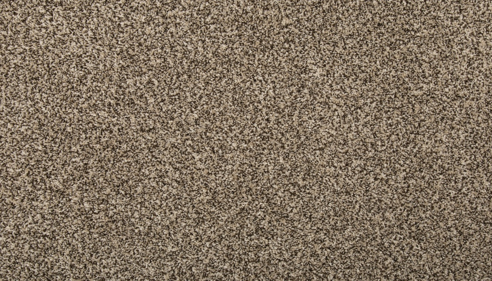 Mohawk Renovate II in Nomad, Carpet product detail
