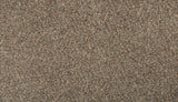 Mohawk Renovate II Carpet
