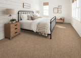 Mohawk Renovate II Carpet