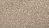 Mohawk Renovate II Carpet