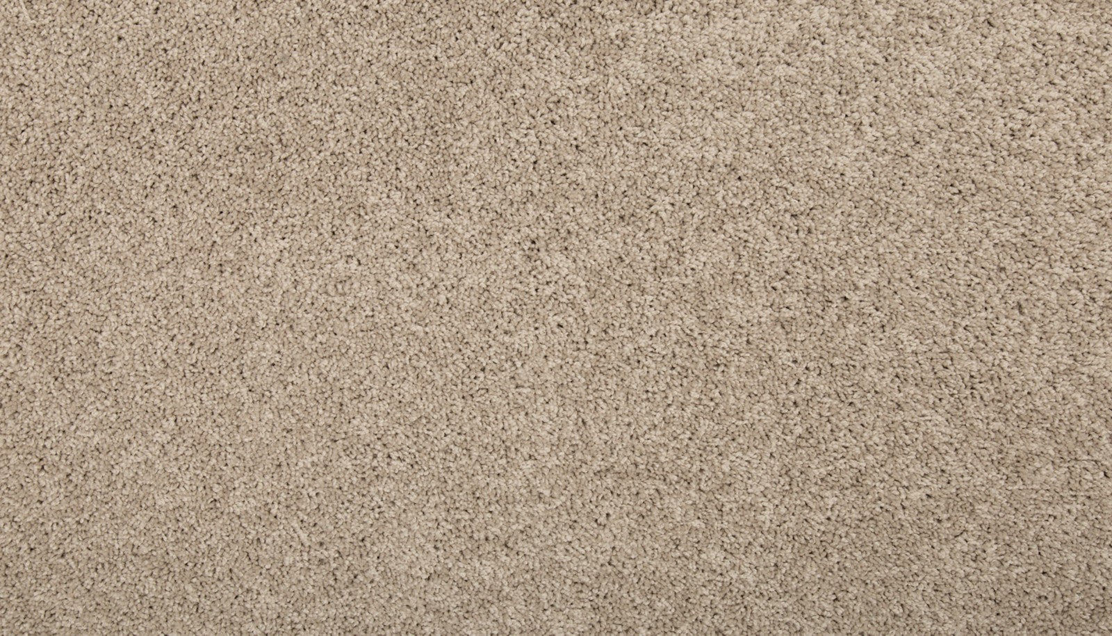 Mohawk Renovate II in Birdbath, Carpet product detail