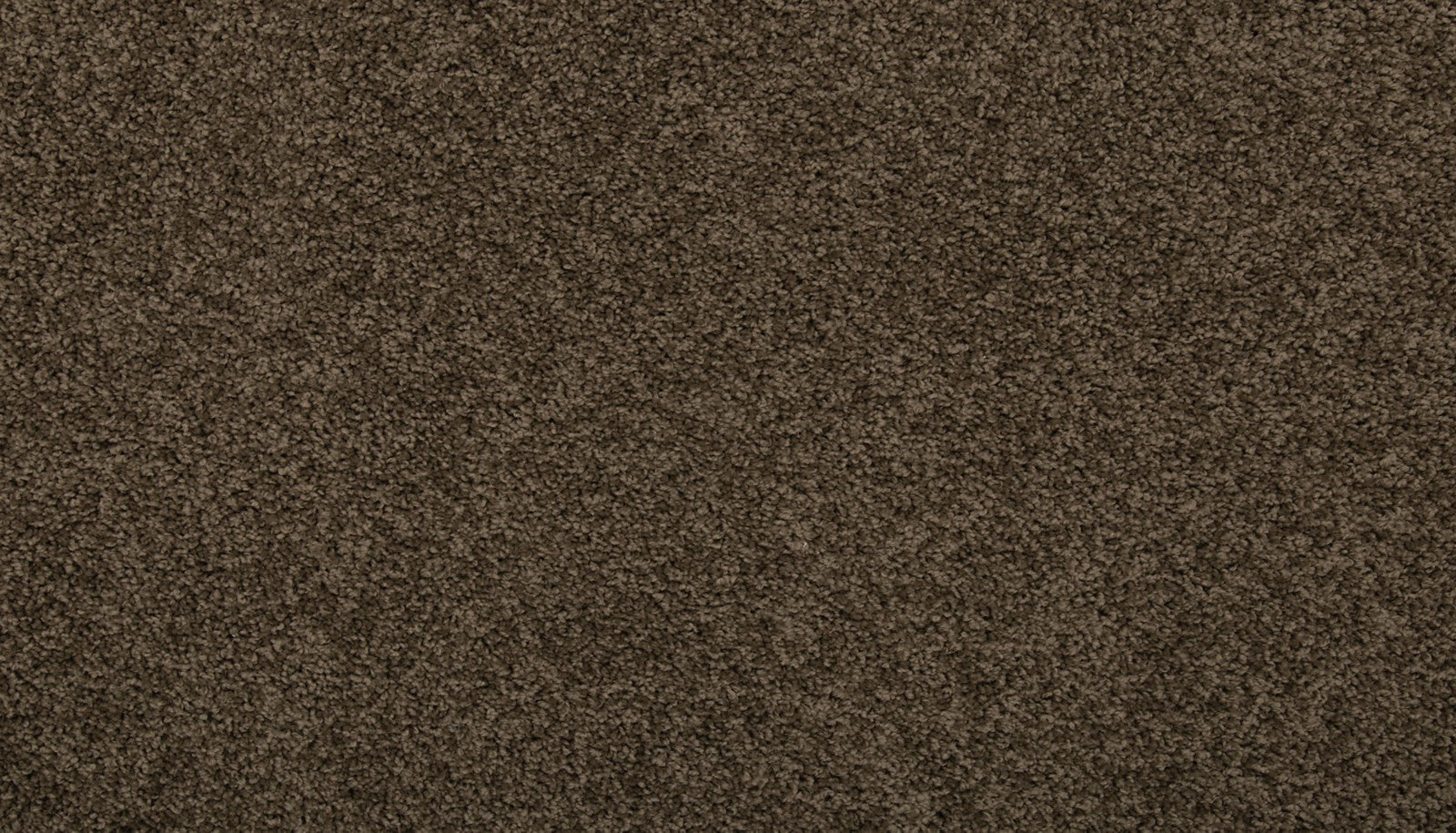 Mohawk Renovate II in Husk, Carpet product detail