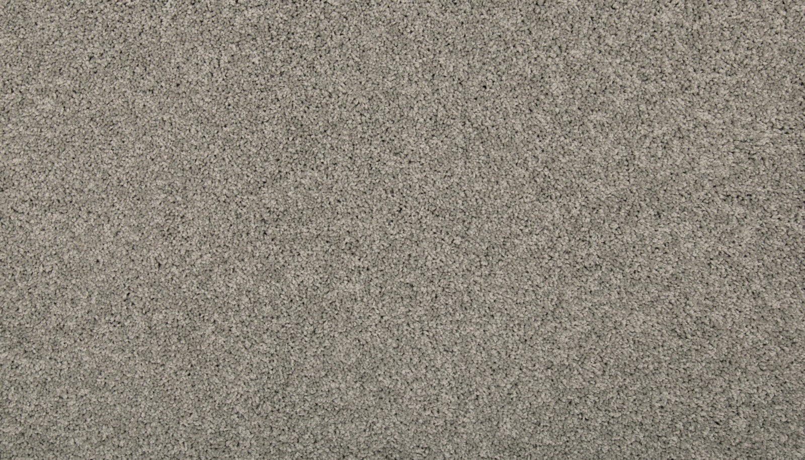 Mohawk Renovate II in Winter Ash, Carpet product detail
