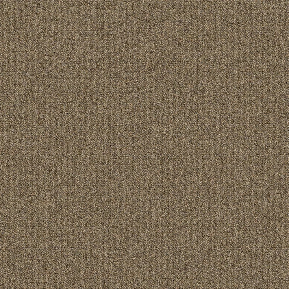 Mohawk Scholarship II Tile in Sienna, product detail