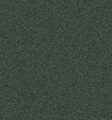 Mohawk Rule Breaker 20 15' Carpet
