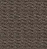 Mohawk Classify Carpet