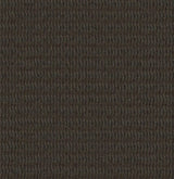 Mohawk Classify Carpet