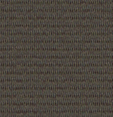 Mohawk Classify Carpet