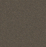 Mohawk Traction II Carpet