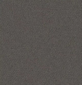 Mohawk Directions Carpet