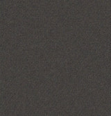 Mohawk Directions Carpet
