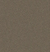 Mohawk Directions Carpet