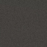 Mohawk Chex II Carpet