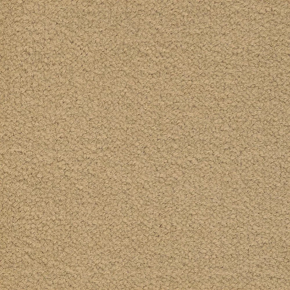 Mohawk Influencer 30 Carpet