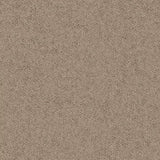 Mohawk Influencer 30 Carpet