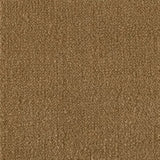 Mohawk Influencer 30 Carpet
