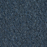 Mohawk Front & Center Carpet