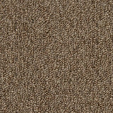 Mohawk Front & Center Carpet
