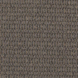Mohawk Contemplate Carpet