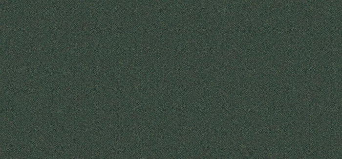 Mohawk Rule Breaker Carpet