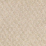 Mohawk Dynamo Carpet