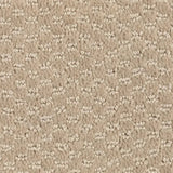 Mohawk Dynamo Carpet