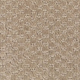Mohawk Dynamo Carpet