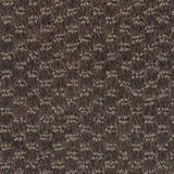 Mohawk Dynamo Carpet