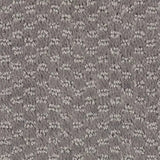 Mohawk Dynamo Carpet